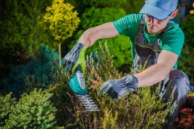 landscaping services Bossier City